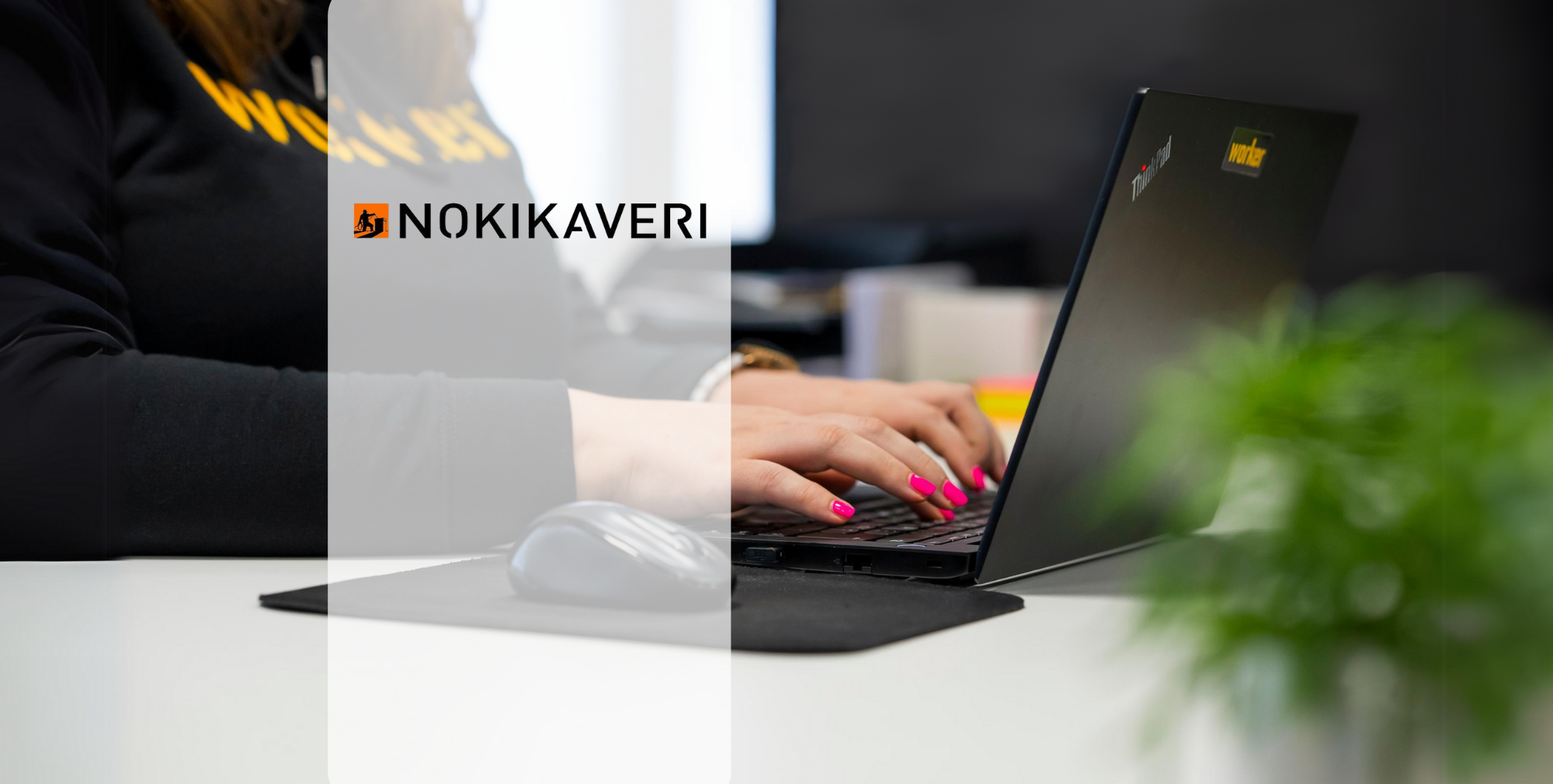 Myyjä Nuohouspalveluihin, Nokikaveri Oy